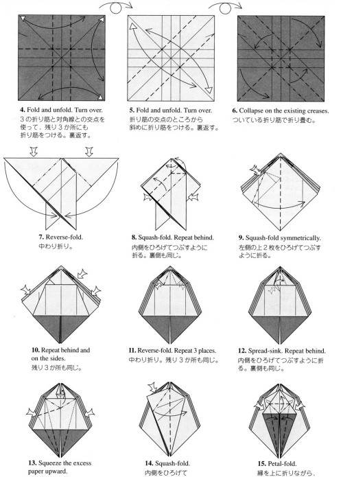 一般的折纸蝴蝶基本折法图解教程将如何制作折纸蝴蝶告诉你
