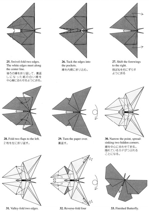 学习折纸蝴蝶就来折纸大全图解教程中进行学习