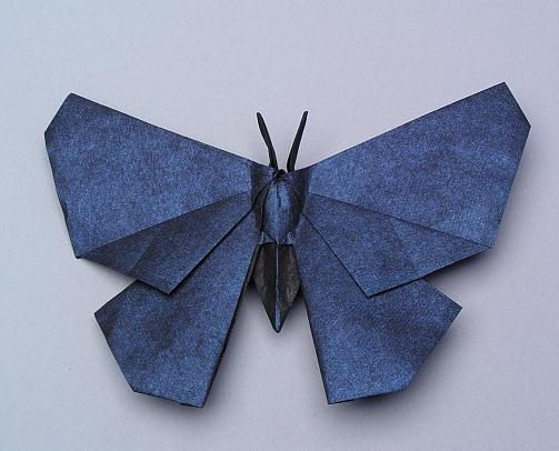 昆虫折纸之折纸蝴蝶的图解教程
