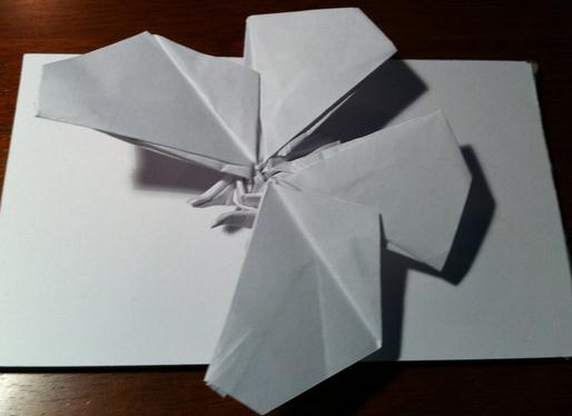 使用A4纸制作出来的折纸蝴蝶立体感还是很强的