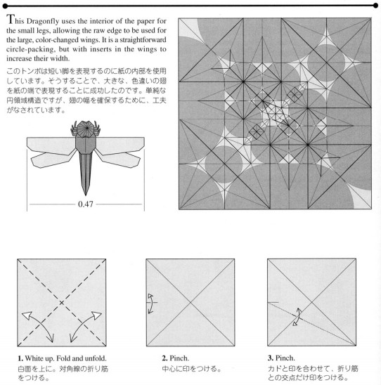手工折纸蜻蜓的基本折法帮助你更好的理解和认识折纸蜻蜓的制作