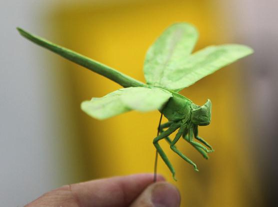 手工折纸蜻蜓的基本折纸制作展现出非常漂亮的折纸蜻蜓来