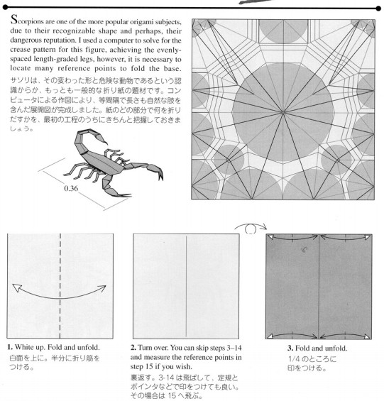 手工折纸蝎子的基本折法图解教程帮助你更好的完成折纸蝎子的制作