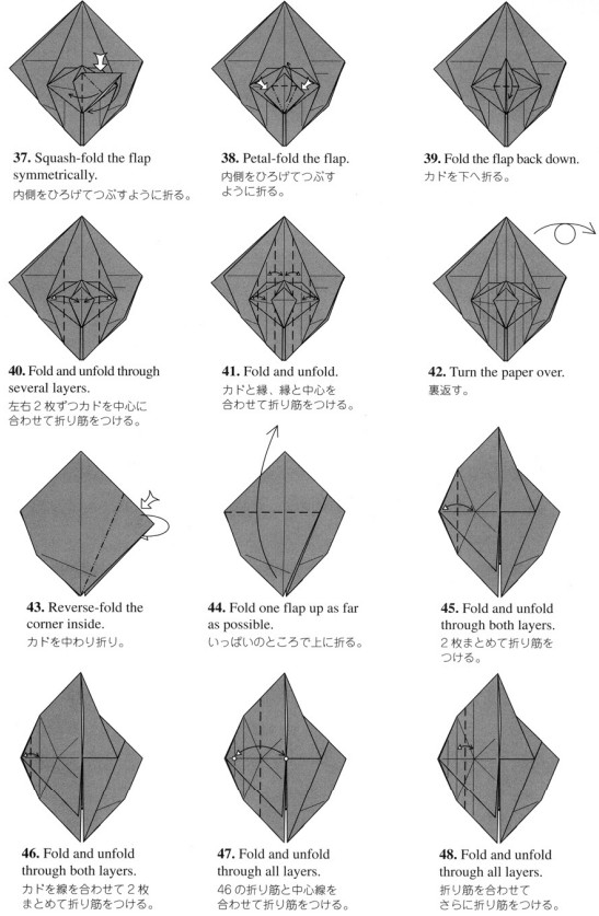 折纸螳螂的折叠教程帮助我们更好的理解手工折纸的特点