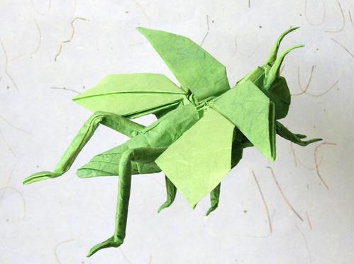 折纸昆虫图解教程之手把手教你制作精美的折纸飞蝗