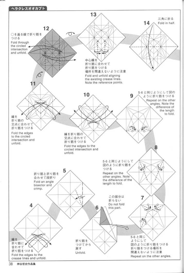 学习折纸独角仙的基本制作过程帮助我们制作出更加漂亮的折纸独角仙来