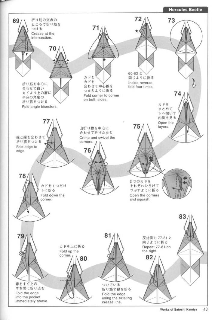 折纸独角仙构型样式的完整性主要表现在折纸模型的展现过程中