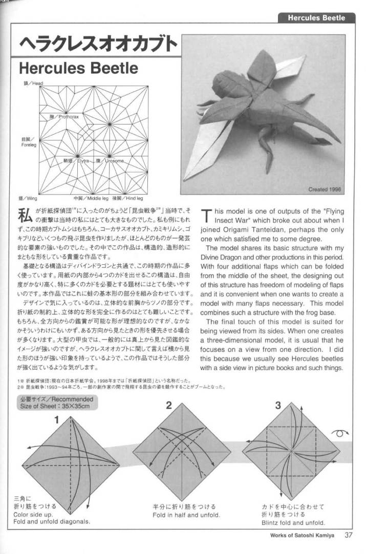 手工折纸独角仙的折叠过程需要我们对于折纸昆虫的基本构型样式有着更多的了解和掌握