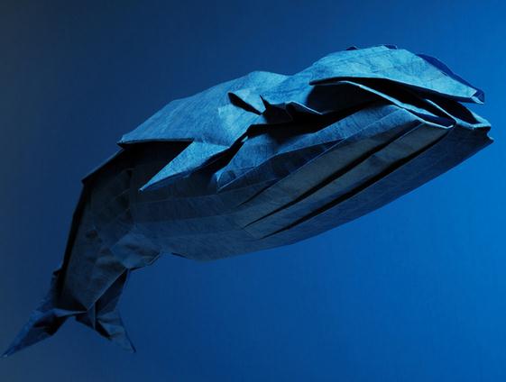 折纸蓝鲸的折纸图解教程手把手教你制作折纸蓝鲸