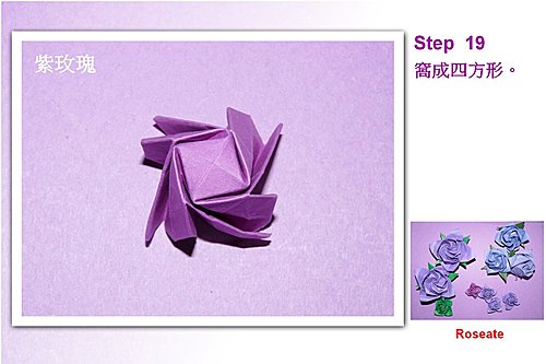 紫色玫瑰花的质感还是非常的漂亮和具有极好的艺术美感
