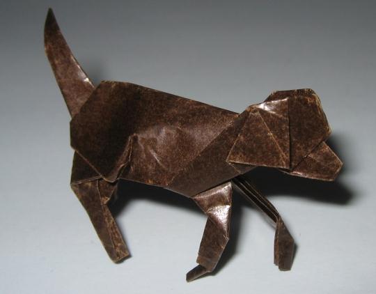 折纸大全图解教程手把手教你制作逼真的折纸猎狐犬