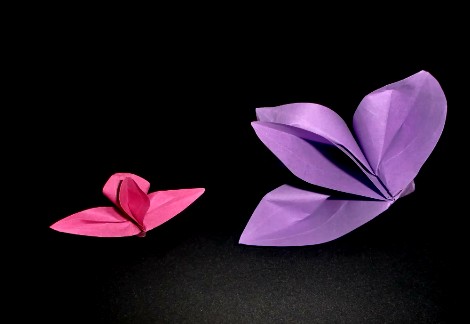 折纸兰花的折纸视频教程手把手教你制作漂亮的兰花折纸