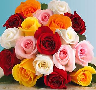 18朵玫瑰花的花语大全手工纸艺制作教程与玫瑰花语