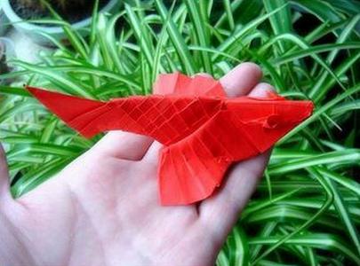折纸大全之折纸鲤鱼的图解教程手把手教你制作漂亮的折纸鲤鱼