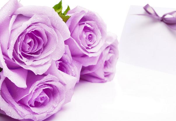 44朵玫瑰花语和仿真折纸玫瑰花的基本折法教程手把手教你制作精美的折纸玫瑰花