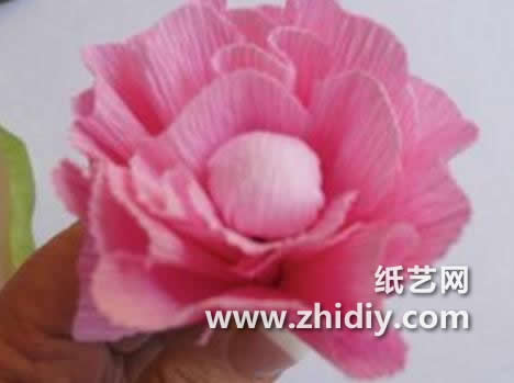 皱纹纸是制作纸艺玫瑰花常使用的材料之一