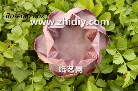 折纸玫瑰花折纸盒子的折法教程手把手教你制作漂亮的折纸玫瑰花盒子