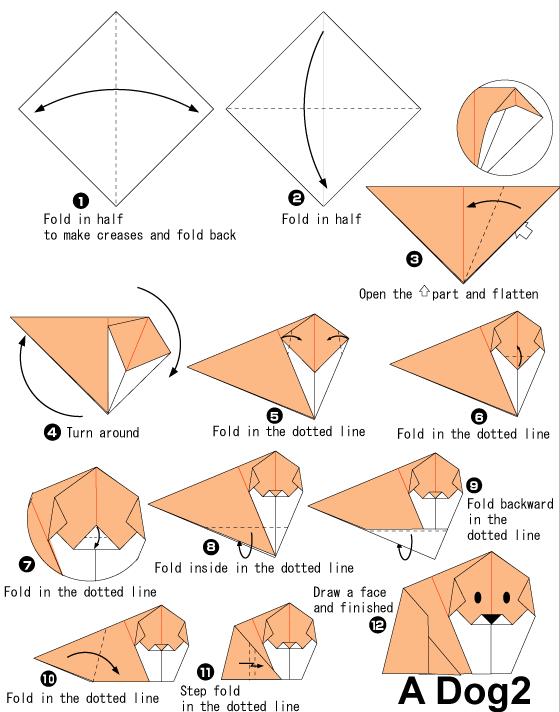 手工折纸松毛犬的基本折法教程展示出折纸松毛犬制作的特点