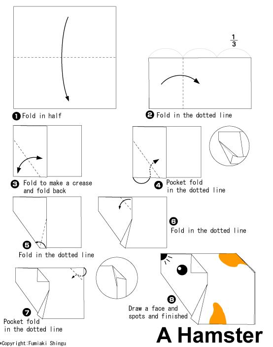 手工折纸豚鼠的基本折法教程展示出折纸豚鼠应该如何制作