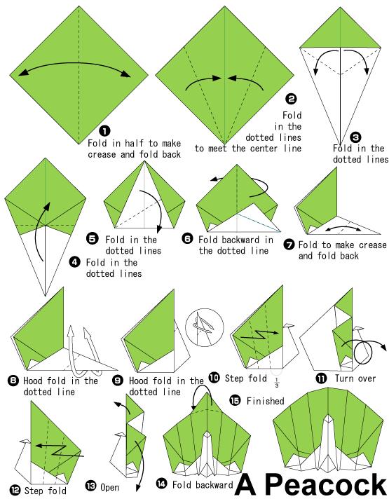 手工折纸孔雀的折法图解教程帮助你制作出漂亮的折纸孔雀来