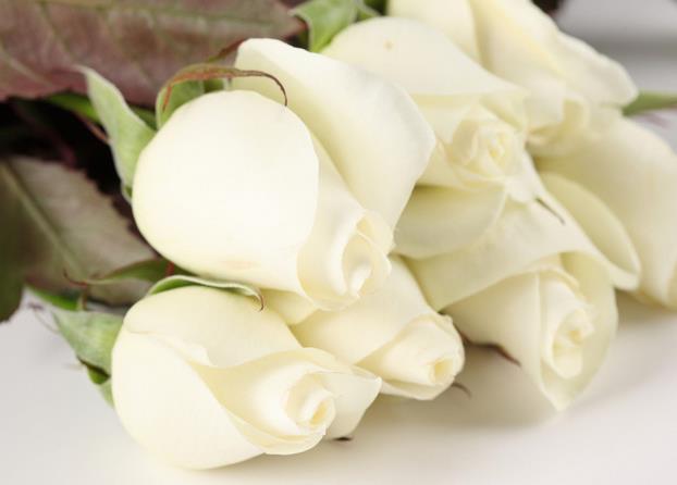 16朵玫瑰花语里的多变不安的爱情不要给予那
