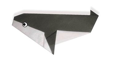 简单的折纸虎鲸折纸图解教程手把手教你制作儿童手工折纸虎鲸折叠