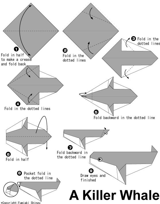 折纸手工制作大全教程展示出漂亮的折纸虎鲸是如何制作的
