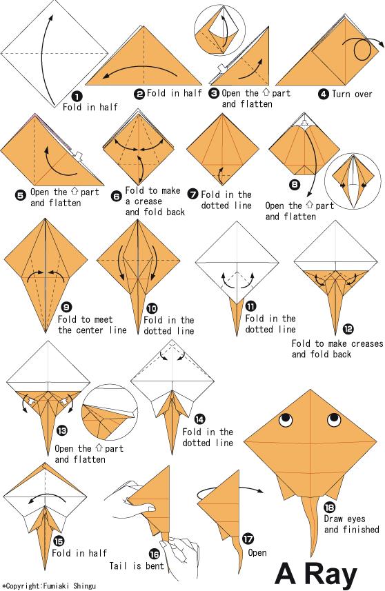 简单的折纸鳐鱼图解教程展示出独特的儿童折纸大全图解做法