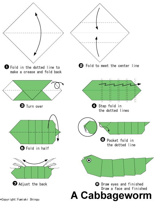 手工折纸菜青虫的基本折法教程告诉你折纸菜青虫如何做