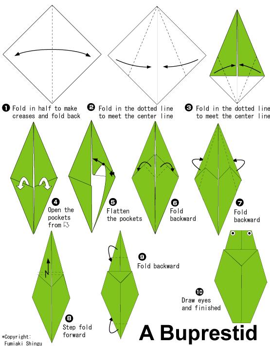 手工折纸吉丁虫的基本折法教程告诉你折纸吉丁虫应该如何制作