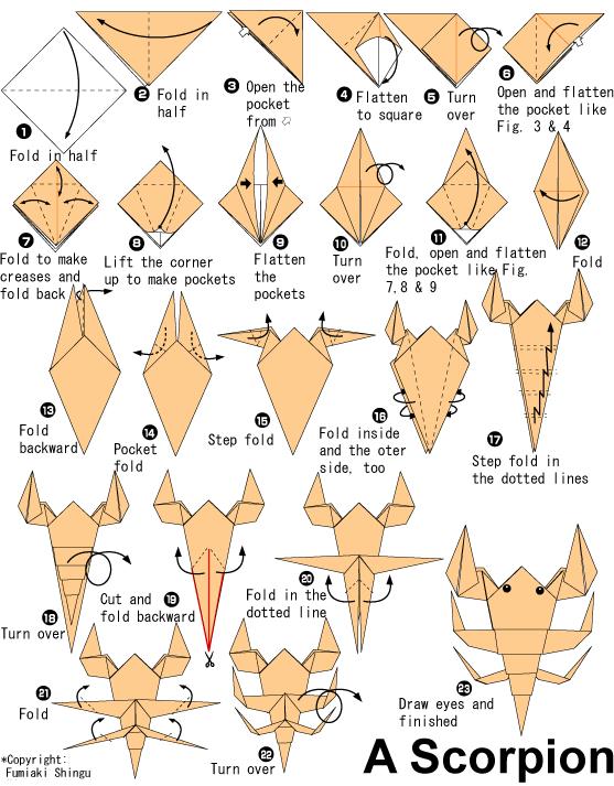 儿童折纸蝎子的基本折法教程展示出折纸蝎子是如何折叠的