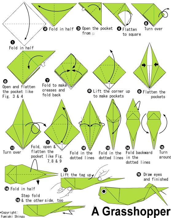 蚂蚱的折纸图解教程展示出精美的折纸蚂蚱应该如何折叠制作