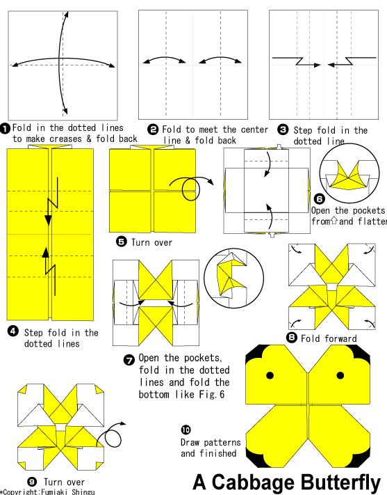 手工折纸蝴蝶的基本折法展示出折纸菜粉蝶是如何制作的