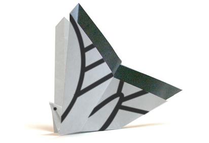 儿童手工折纸凤蝶的折纸图解教程教你制作漂亮的折纸凤蝶