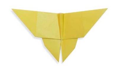 精美的儿童折纸蝴蝶手工折纸图解教程教你制作折纸蝴蝶