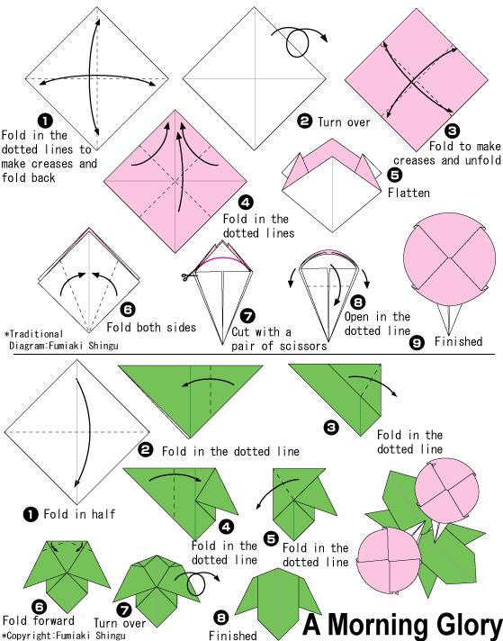 手工折纸牵牛花的基本折法展示出折纸牵牛花是如何进行折叠的