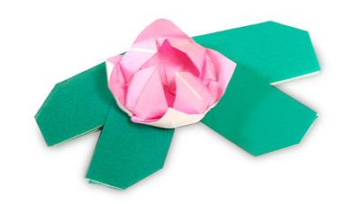 儿童手工折纸睡莲的基本折法教程教你制作精美的折纸花睡莲