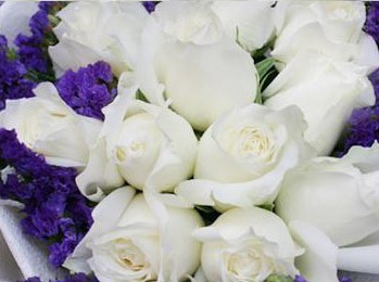 33朵白玫瑰花的玫瑰花花语