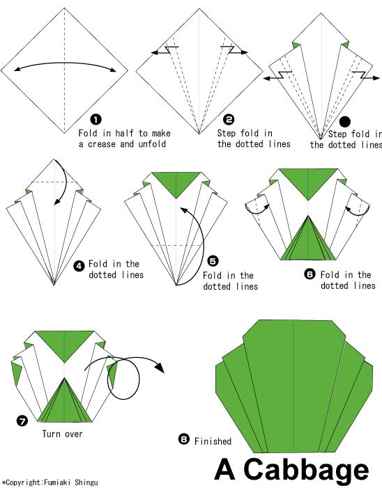 手工折纸大白菜的基本折法展示出折纸大白菜应该如何制作