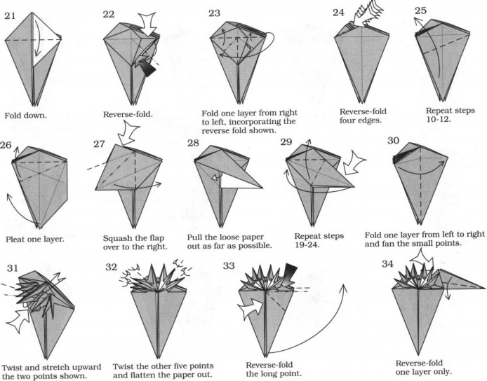 海洋动物折纸大全教程手把手的教你制作出精致的折纸骨螺