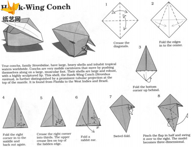 手工折纸海洋动物的折法教程教你制作出漂亮的折纸设计