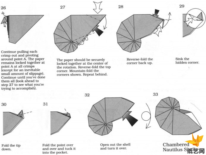 鹦鹉螺的折法教程展示出折纸鹦鹉螺的具体制作方法