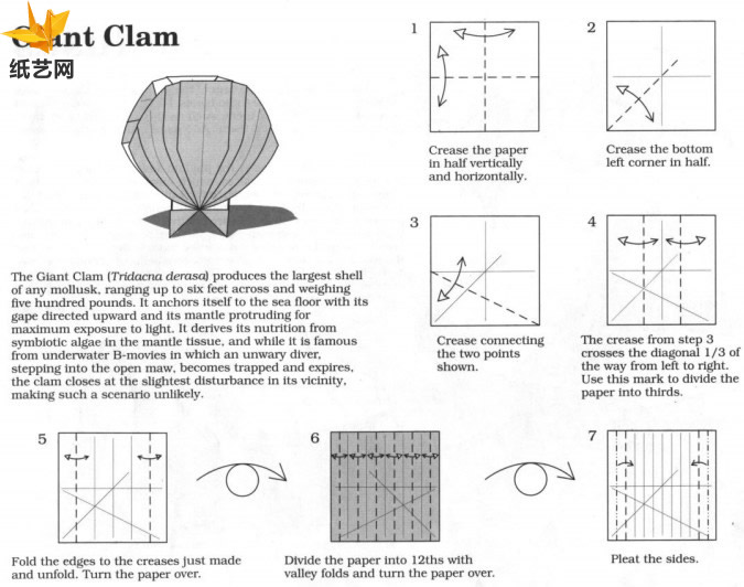 折纸巨蛤的手工折纸图解教程展示出折纸巨蛤是如何进行折叠和制作的