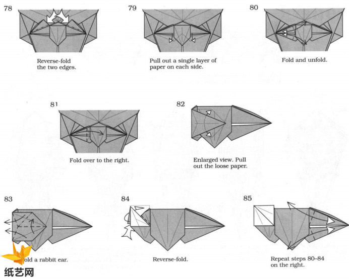 到这里已经可以看到折纸乌贼的构型通过折叠的方式展现出来的