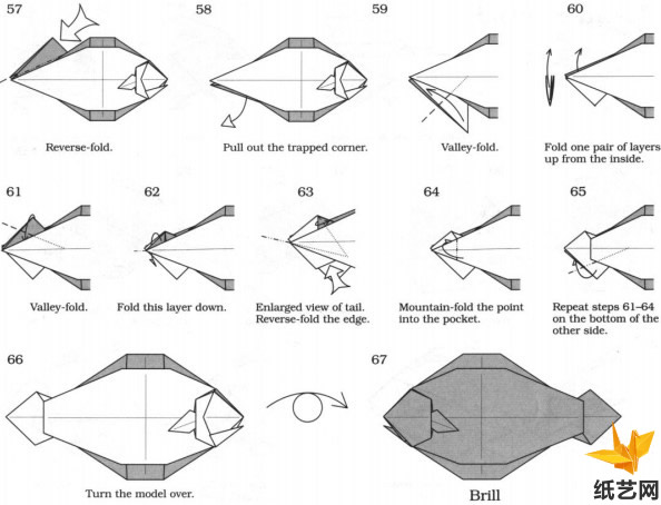 简单的折叠一步一步的教你制作出可爱的折纸比目鱼
