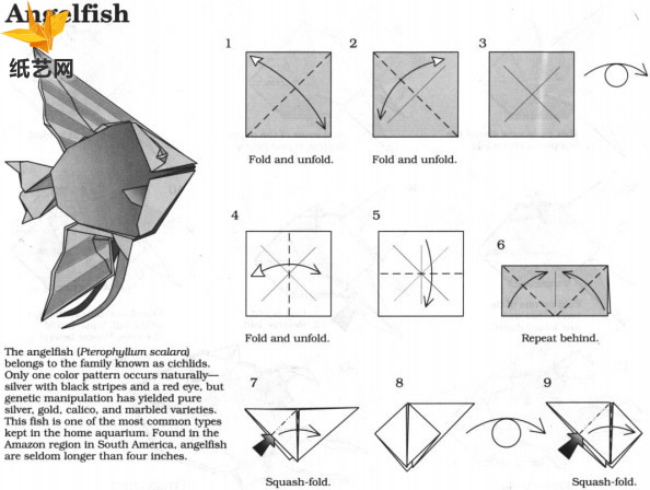 折纸鱼大全手工折纸教程教你制作出精美的折纸鱼
