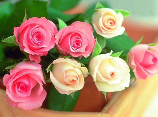 36朵玫瑰花语里的浪漫用一种温暖细腻的方式表达更令人神往 - 纸艺网
