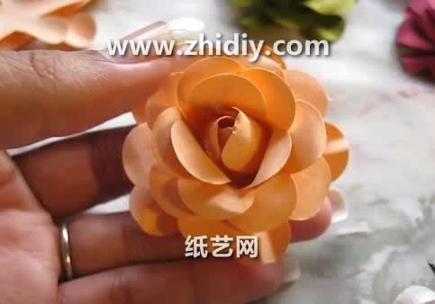 纸玫瑰花的折法之打花器手工制作玫瑰花的基本制作方法教程