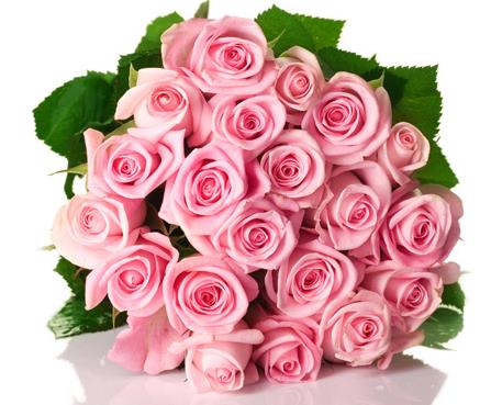 19朵玫瑰花所代表的玫瑰花语大全