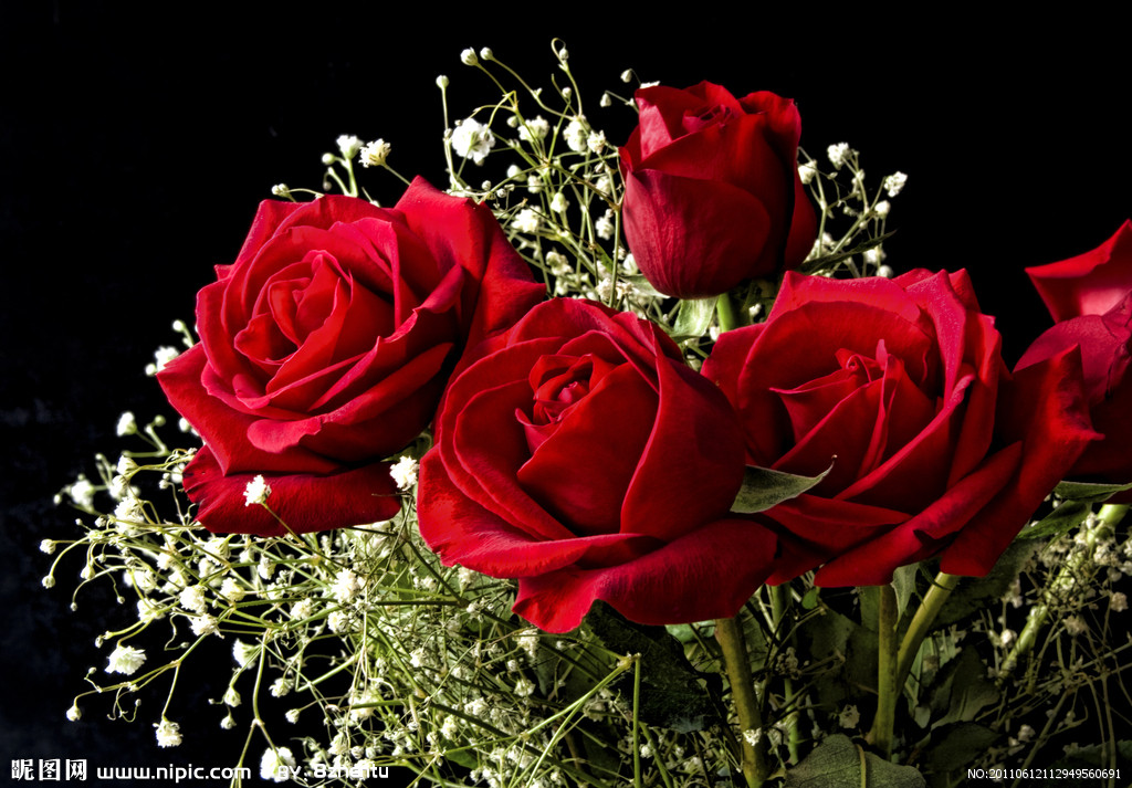 17朵玫瑰花所代表的玫瑰花语大全